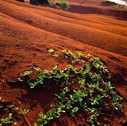 《索尼克：未知边境》更新路线图：额外角色＆剧情等